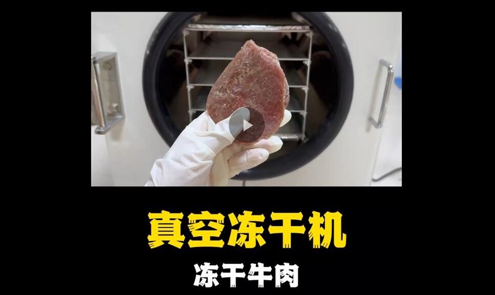 真空凍干機凍干牛肉試驗