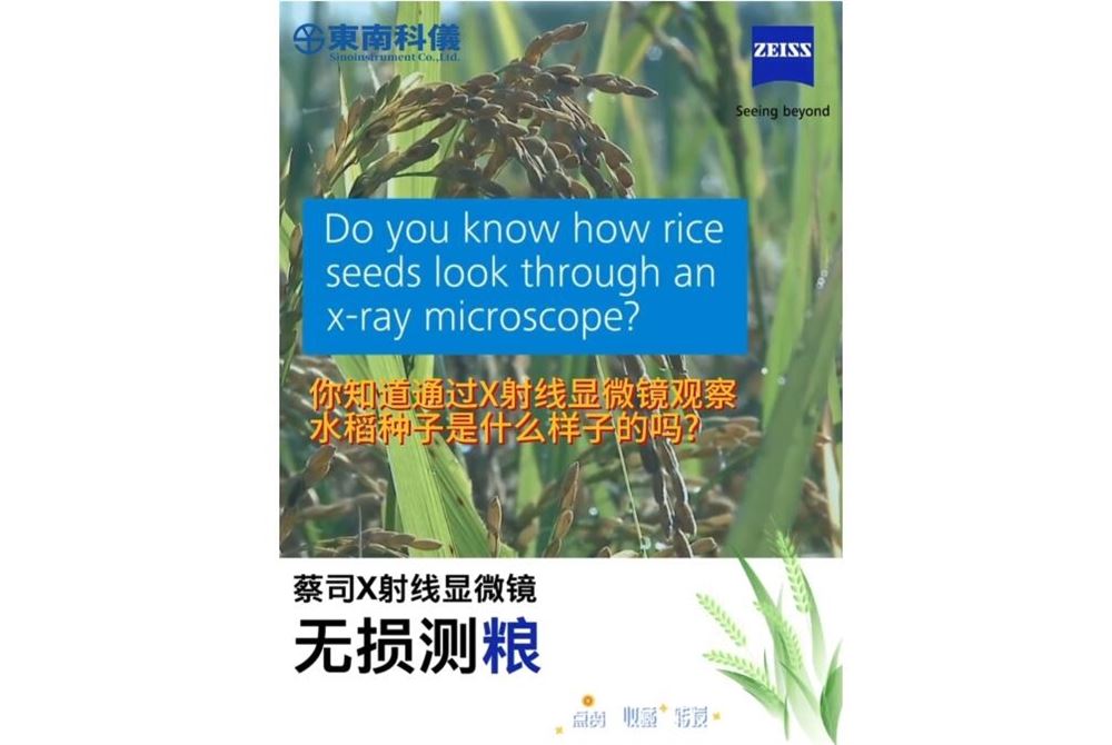 蔡司X射線顯微鏡無損測糧