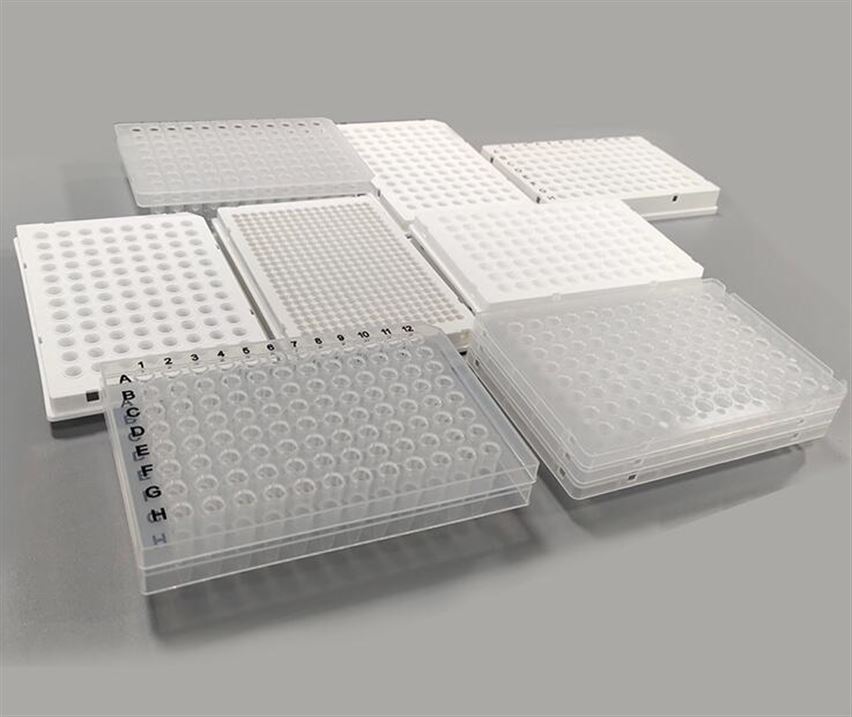 國產96孔與384孔培養板區別