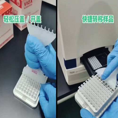 本生PCR管蓋開蓋器