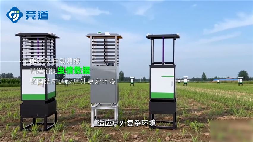 蟲情測報燈：田間害蟲的“自動偵察兵”