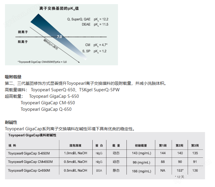 TOYOPEARL GigaCap S-650M 陽(yáng)離子交換填料