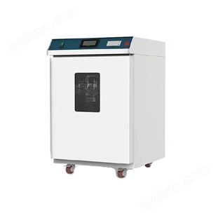 紅太陽(yáng) 環(huán)氧乙烷滅菌器