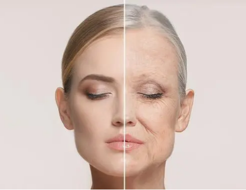 圖片5.png 圖片5.png