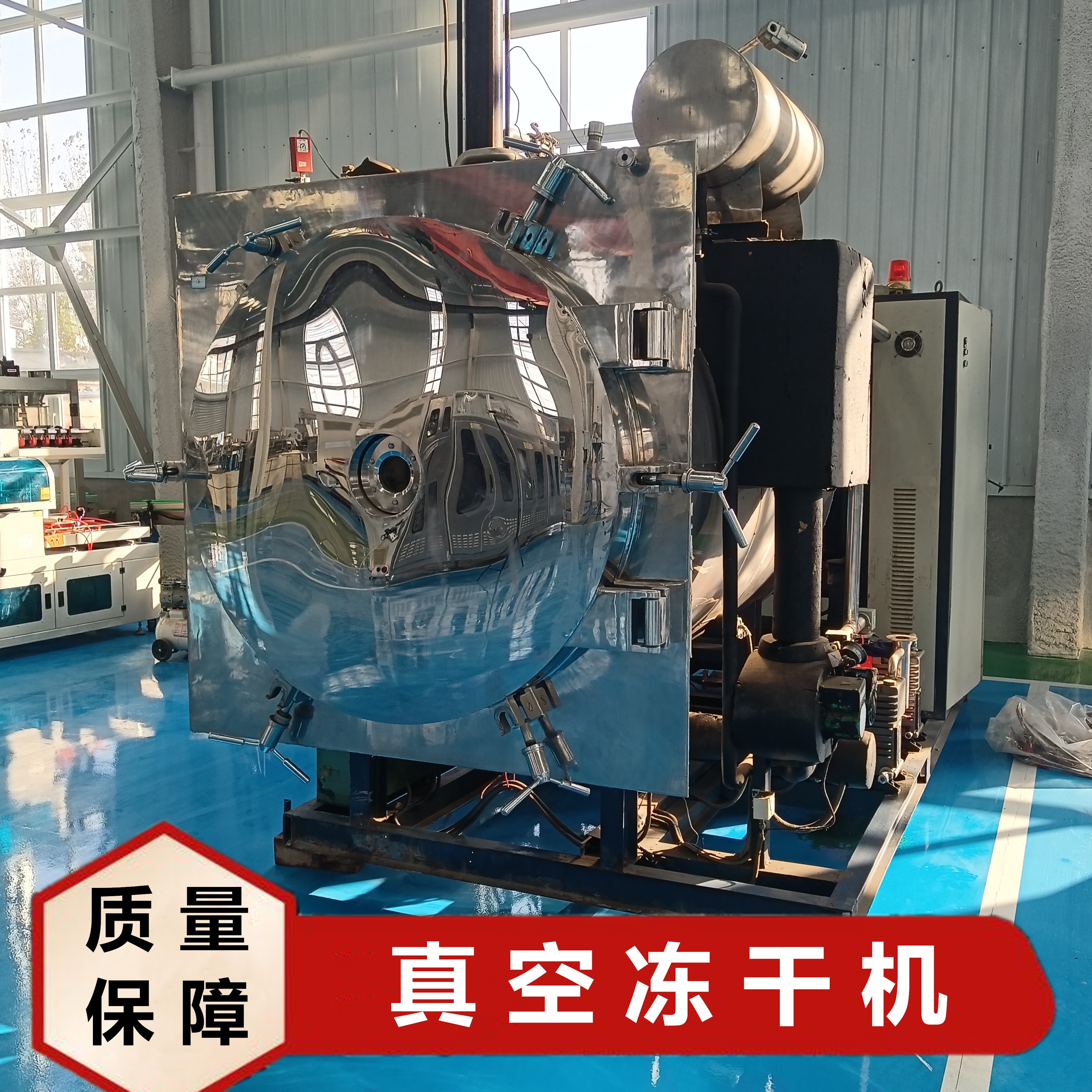 5平方東富龍凍干機：高效凍干的技術(shù)