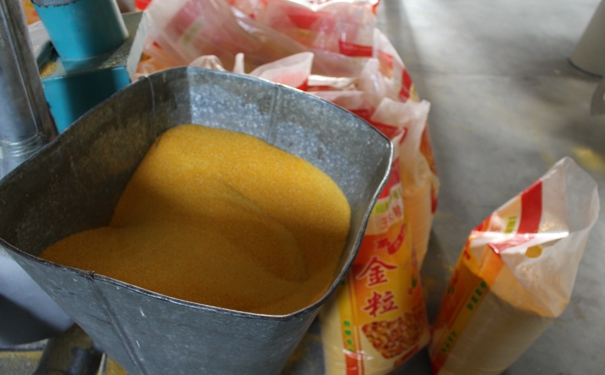 玉米制糝機(jī)器 玉米制糝機(jī)器